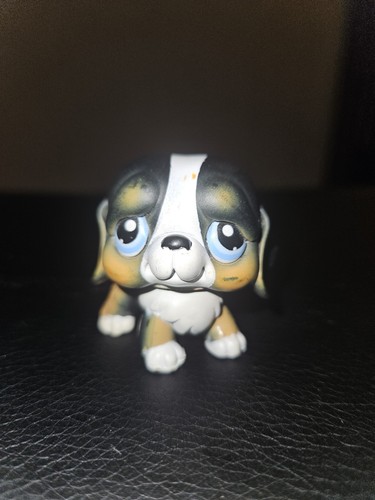 Bernard dog 145 - bernard, #