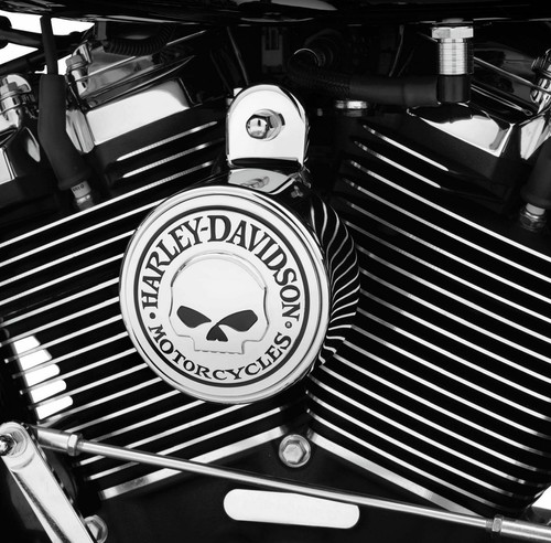 Cover klaxon trompette harley - cover,