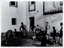 Italia, Sardegna, Irrorazione del DDT Contro le Zanzare vintage silver print T