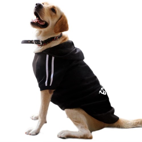 Sweat capuche grand chaud - sweat,