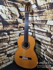 Arcangel Fernandez 2006 pin et