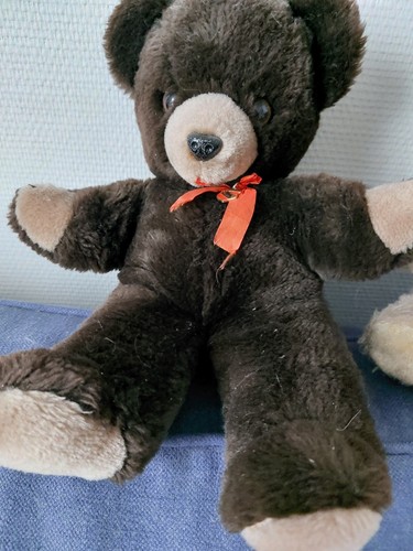 Bel ours ancien teddy - ours,
