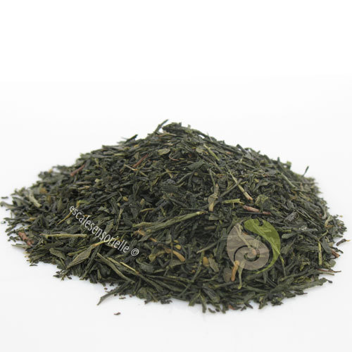 Thé vert sencha - , japonais