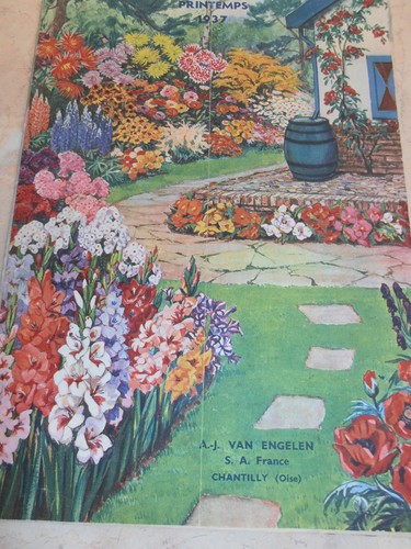 Catalogue van engelen - -,