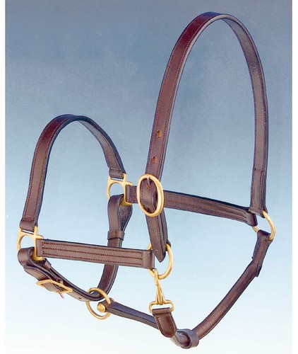 Double licol cuir avec - licol, en