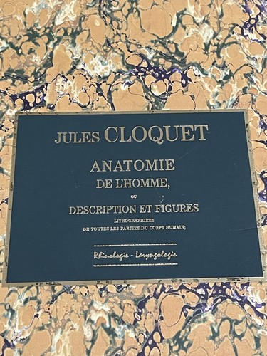 Médecine portfolio jules - médecine,