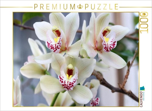 Calvendo puzzle zarte - puzzle,