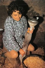 Scènes de la vie rurale - LA GAVEUSE D'OIE