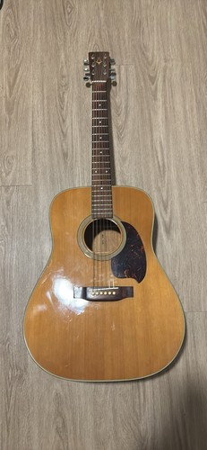 Daion mugen junior - junior, acoustic