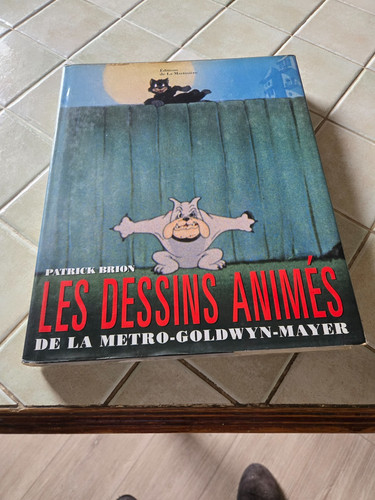 Les dessins animes metro - animes, la