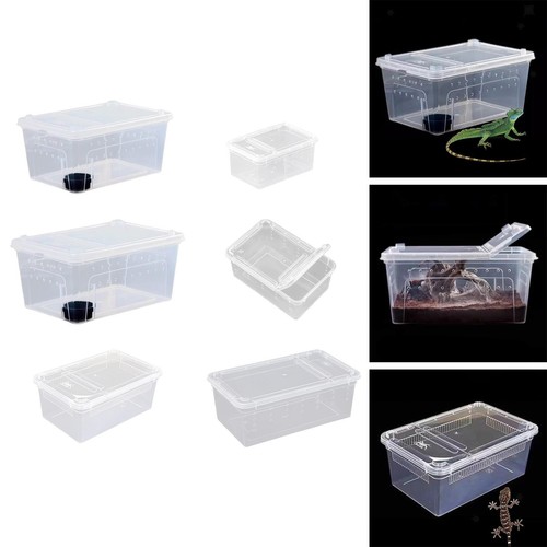Boîte élevage transparente - boîte,