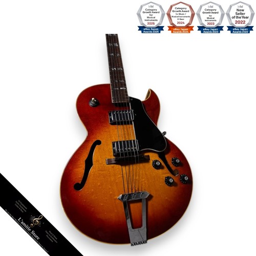 Guitare jazz vintage - , manche