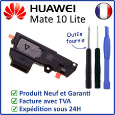 MODULE HAUT-PARLEUR HP