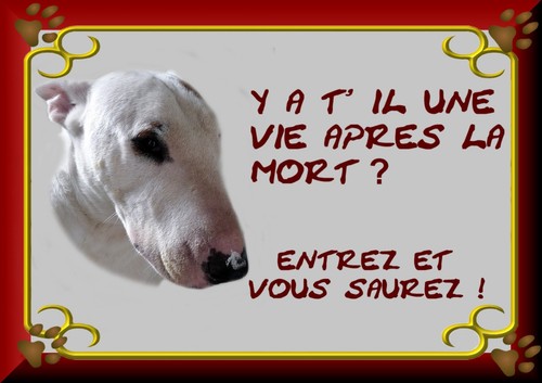 Plaque garde bull terrier - plaque, de