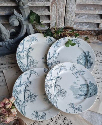 Anciennes assiettes plates - 4,