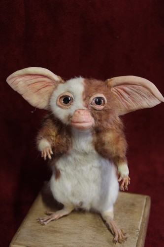 Taxidermie rat mignon - rat,