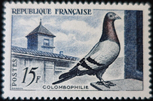 France timbre pigeon voyageur - france,