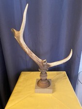 MASSACRE DE CHEVREUIL FIXE SUR