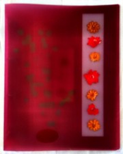 Classeur Souple A4 Exacompta