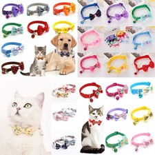 Petit Chien Chat Collier Lacey