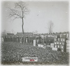 Logistique, camions Berliet