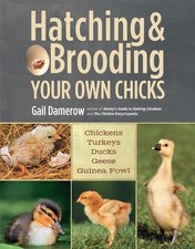 Gail Damerow Hatching & Brooding Your Own Chicks (Poche)