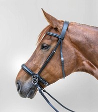 Bitless Bridle Bride Sans Embouchure Cuir Avec Rênes