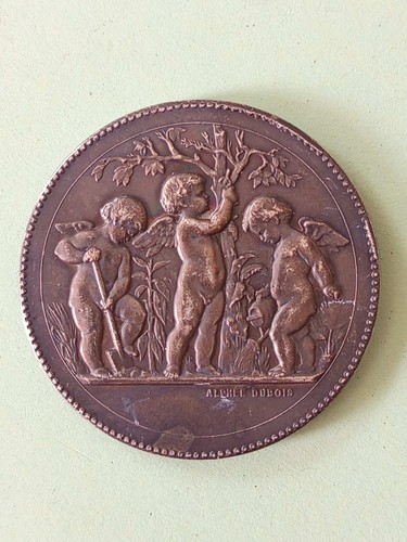 Médaille bronze argenté - médaille,