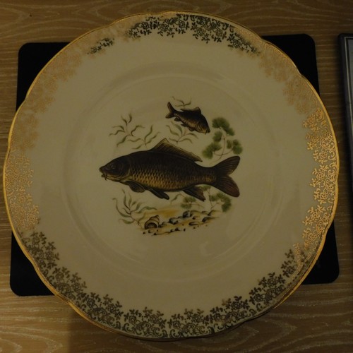 Lot assiettes motif a - lot,