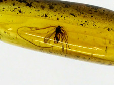 PENDENTIF AMBRE Insecte Cadeau