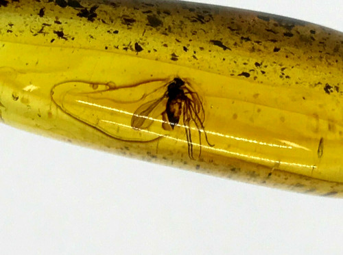 Pendentif ambre insecte cadeau - ambre,