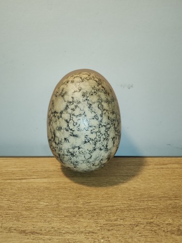 Gros oeuf déco autruche - déco, de