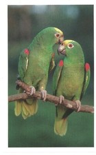 AUTOCOLLANT STICKER AUCHAN