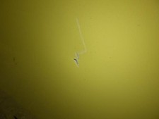 Porte avant gauche PEUGEOT 406