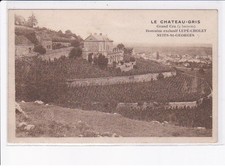 NUITS-SAINT-GEORGES: le chateau-gris grand cru domaine exlusif lupé-cholet  -