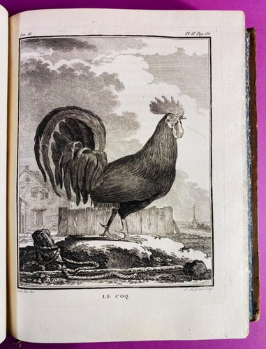Buffon histoire naturelle - buffon,