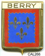 CAL266  - PLAQUE DE CALANDRE AUTO - BERRY