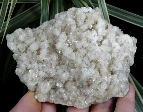 Belle baryte blanc transparent - blanc,