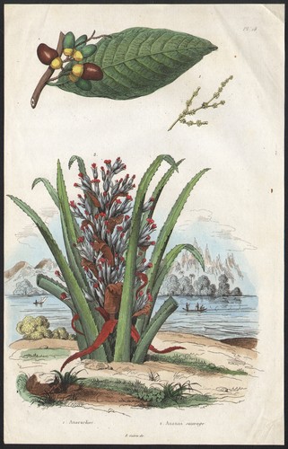 1833 gravure aquarellée - 1833,