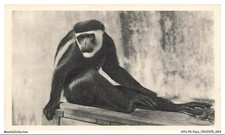 AYUP6-0429-AFRIQUE EQUATORIALE