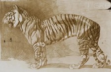 Mathurin MEHEUT : Le Tigre