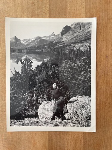 Timberjack loi du - (la,