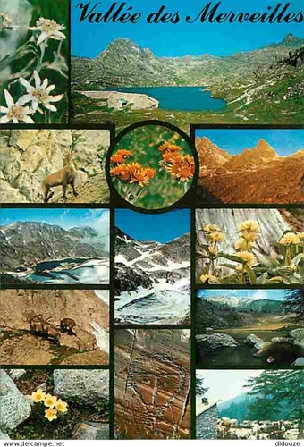 Carte postale alpes - -, 06