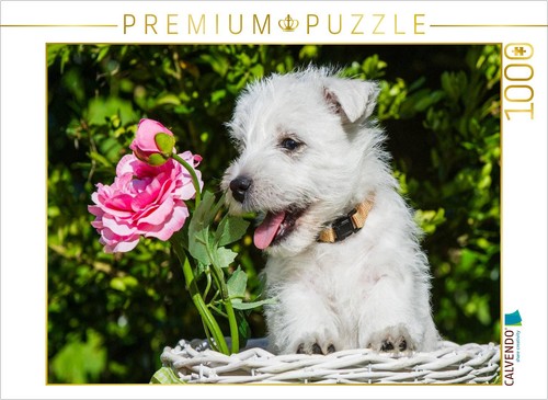 Calvendo puzzle ein - calvendo,