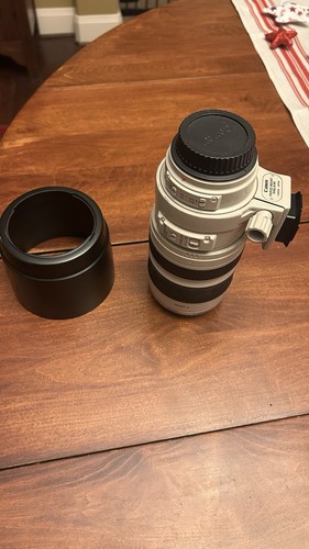 Canon 100 400 - 100-400, f/4.5-5.6l