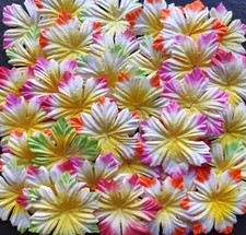 lot de 40 magnifiques fleurs