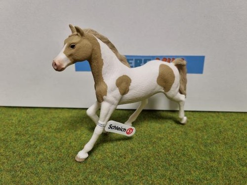 13884 jument paint - -,
