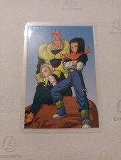 Rami Card Amada C-1192