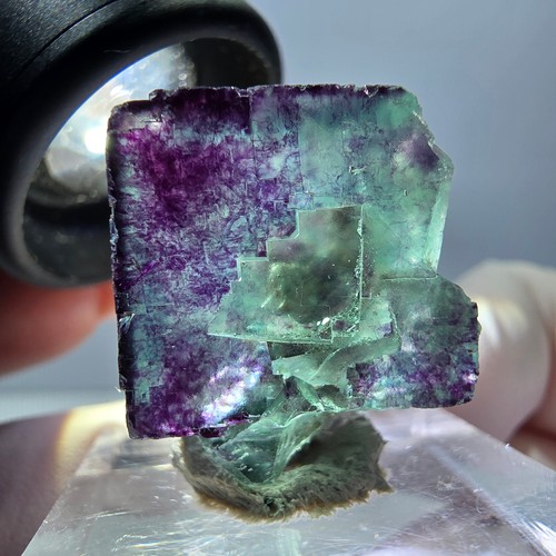 Spécimen cube fluorite - cube,