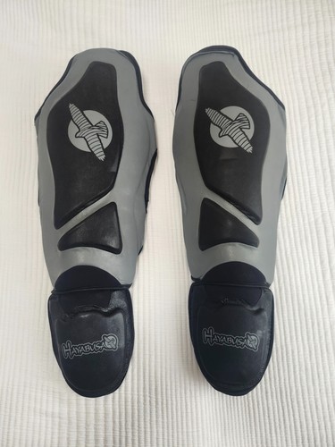 Hayabusa tokushu regenesis - hayabusa,